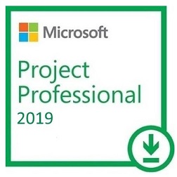 ms project 2019 pro
