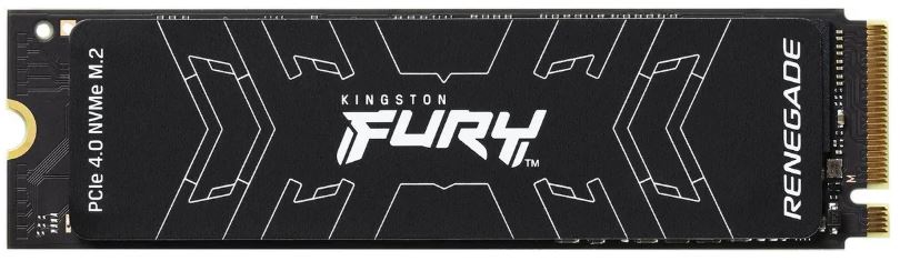 Kingston SFYRS/1000G